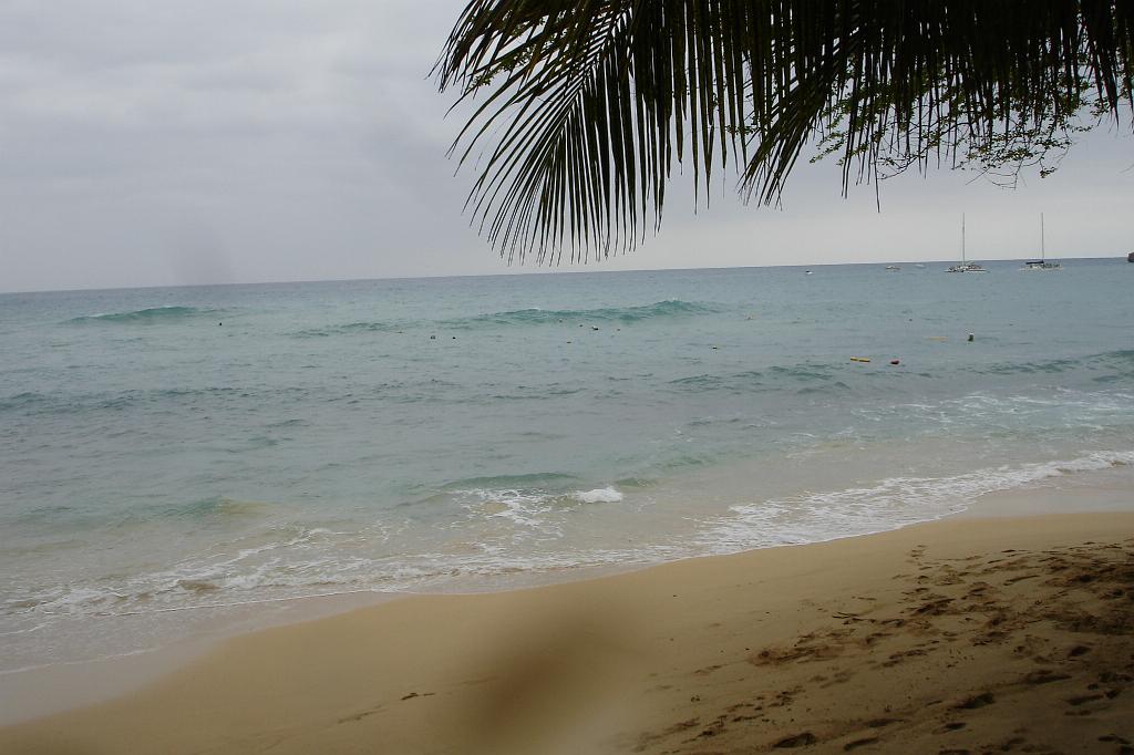 2008-05-15 16-21-59.JPG